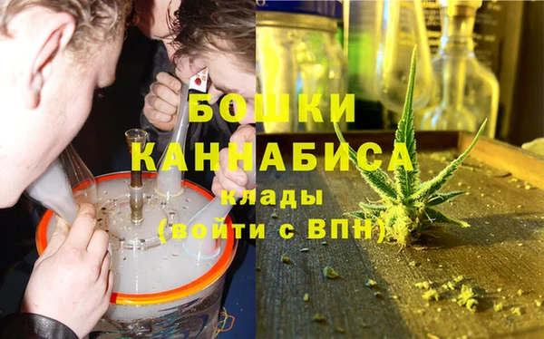 шишки Протвино