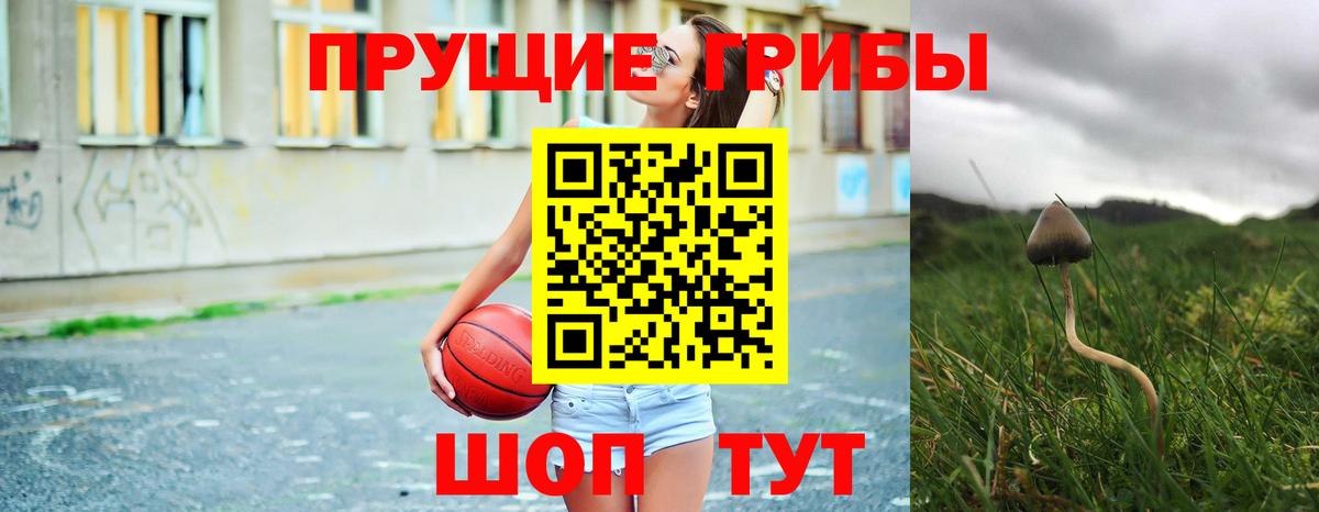 Галлюциногенные грибы мицелий Видное